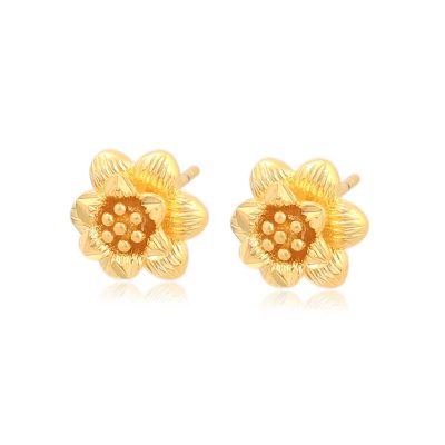 A359 ARETES CARINA